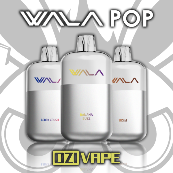 微信图片_20251211123102_871_9 WALA POP 10000